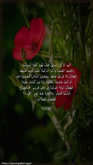An-Nisaa Ayah 77 - Arabic wallpaper
