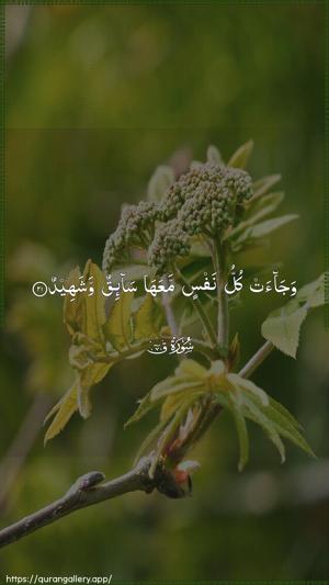 Qaaf Ayah 21 - Arabic wallpaper