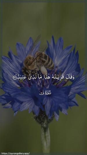 Qaaf Ayah 23 - Arabic wallpaper
