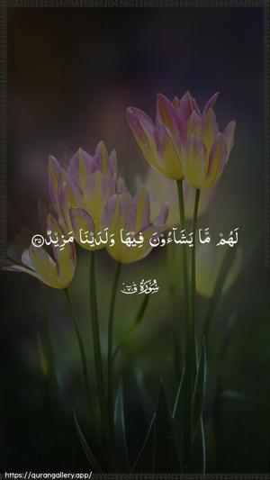 Qaaf Ayah 35 - Arabic wallpaper