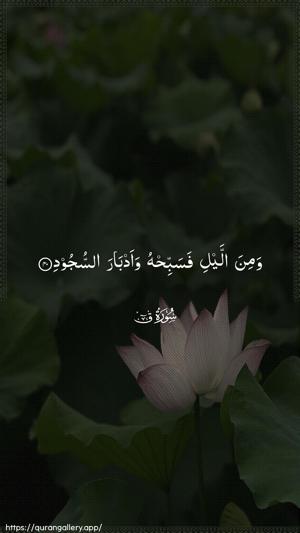 Qaaf Ayah 40 - Arabic wallpaper