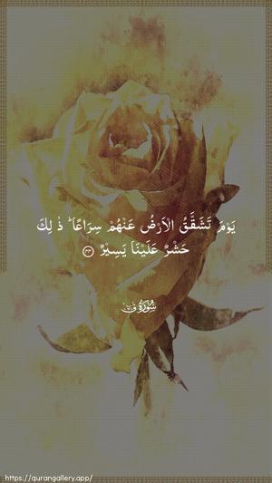 Qaaf Ayah 44 - Arabic wallpaper