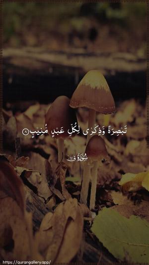 Qaaf Ayah 8 - Arabic wallpaper