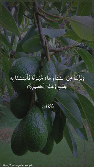 Qaaf Ayah 9 - Arabic wallpaper
