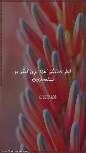 Adh-Dhaariyat Ayah 14 - Arabic wallpaper