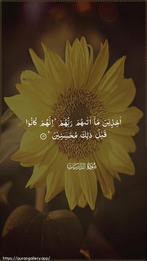 Adh-Dhaariyat Ayah 16 - Arabic wallpaper