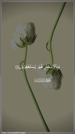 Adh-Dhaariyat Ayah 18 - Arabic wallpaper