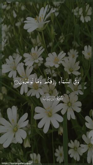 Adh-Dhaariyat Ayah 22 - Arabic wallpaper
