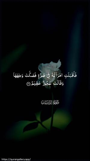 Adh-Dhaariyat Ayah 29 - Arabic wallpaper