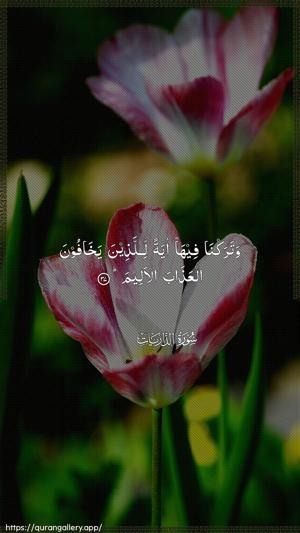 Adh-Dhaariyat Ayah 37 - Arabic wallpaper