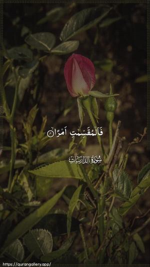 Adh-Dhaariyat Ayah 4 - Arabic wallpaper