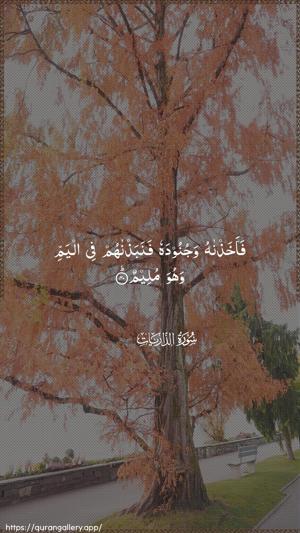 Adh-Dhaariyat Ayah 40 - Arabic wallpaper