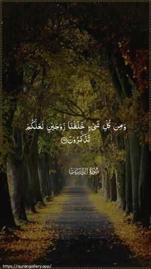 Adh-Dhaariyat Ayah 49 - Arabic wallpaper