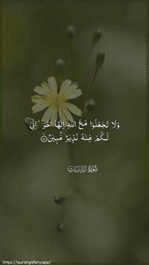 Adh-Dhaariyat Ayah 51 - Arabic wallpaper