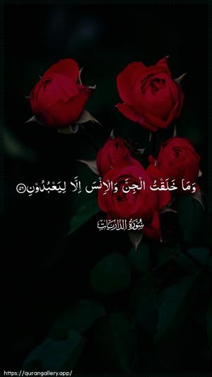 Adh-Dhaariyat Ayah 56 - Arabic wallpaper
