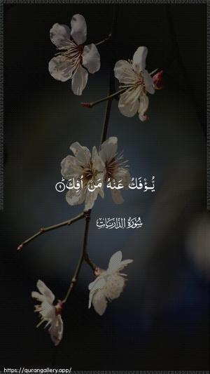 Adh-Dhaariyat Ayah 9 - Arabic wallpaper