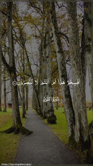 At-Tur Ayah 15 - Arabic wallpaper