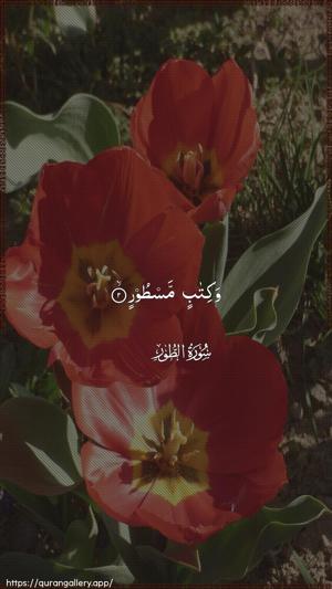 At-Tur Ayah 2 - Arabic wallpaper
