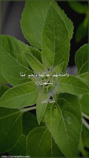 At-Tur Ayah 22 - Arabic wallpaper