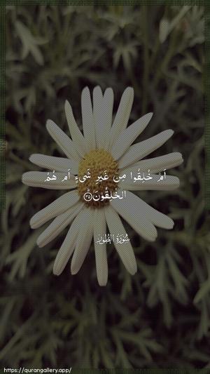 At-Tur Ayah 35 - Arabic wallpaper