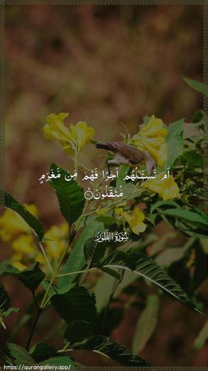 At-Tur Ayah 40 - Arabic wallpaper