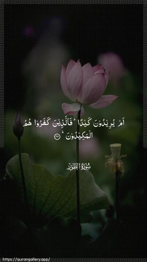 At-Tur Ayah 42 - Arabic wallpaper