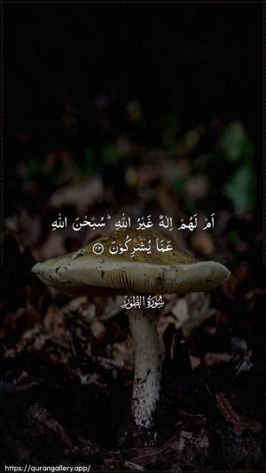 At-Tur Ayah 43 - Arabic wallpaper