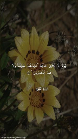 At-Tur Ayah 46 - Arabic wallpaper