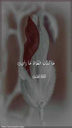 An-Najm Ayah 11 - Arabic wallpaper