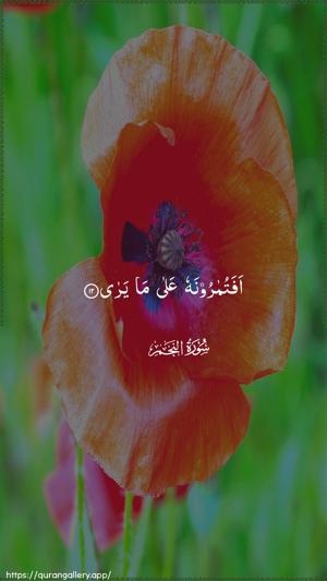 An-Najm Ayah 12 - Arabic wallpaper