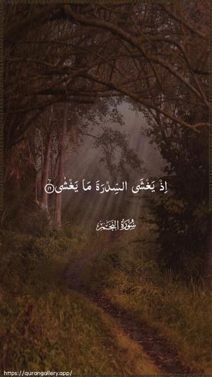An-Najm Ayah 16 - Arabic wallpaper