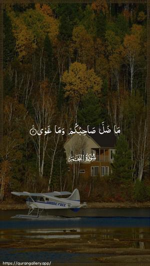 An-Najm Ayah 2 - Arabic wallpaper