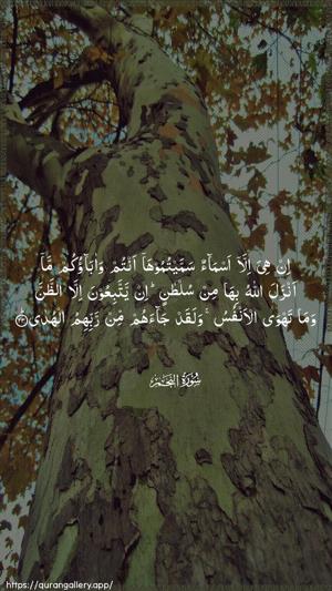 An-Najm Ayah 23 - Arabic wallpaper