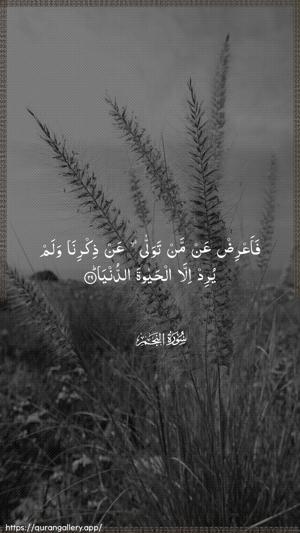 An-Najm Ayah 29 - Arabic wallpaper