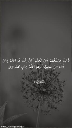 An-Najm Ayah 30 - Arabic wallpaper