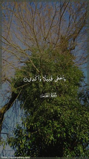 An-Najm Ayah 34 - Arabic wallpaper