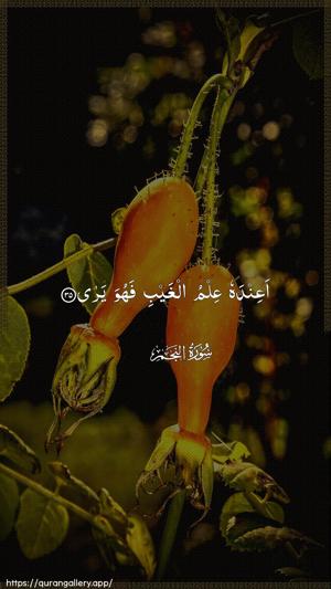 An-Najm Ayah 35 - Arabic wallpaper