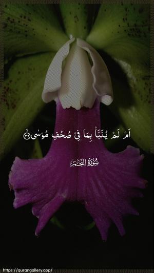 An-Najm Ayah 36 - Arabic wallpaper