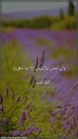 An-Najm Ayah 39 - Arabic wallpaper