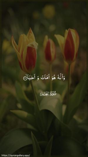An-Najm Ayah 44 - Arabic wallpaper