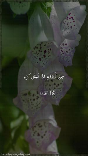 An-Najm Ayah 46 - Arabic wallpaper