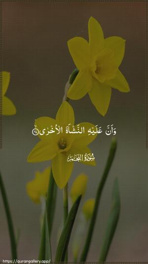 An-Najm Ayah 47 - Arabic wallpaper