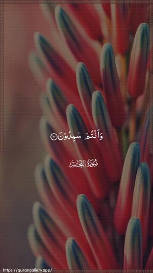 An-Najm Ayah 61 - Arabic wallpaper