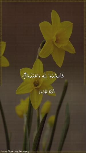 An-Najm Ayah 62 - Arabic wallpaper
