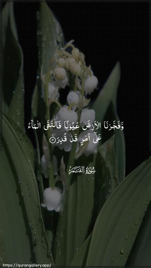 Al-Qamar Ayah 12 - Arabic wallpaper