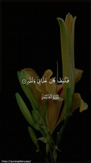Al-Qamar Ayah 16 - Arabic wallpaper