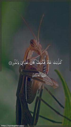 Al-Qamar Ayah 18 - Arabic wallpaper