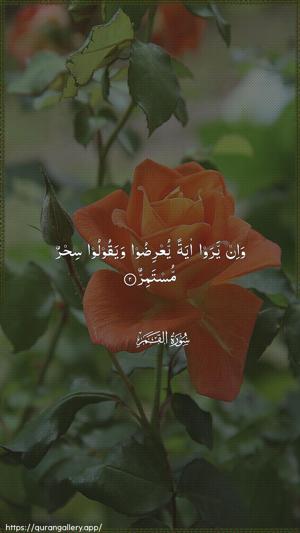 Al-Qamar Ayah 2 - Arabic wallpaper