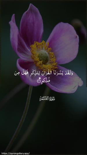 Al-Qamar Ayah 22 - Arabic wallpaper