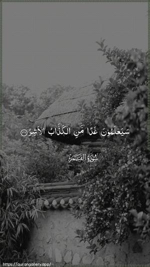 Al-Qamar Ayah 26 - Arabic wallpaper